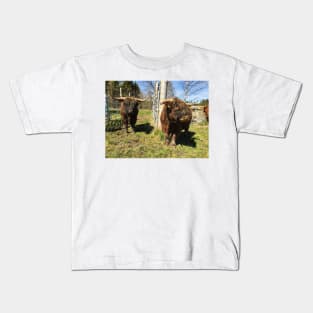 Scottish Highland Cattle Bulls 2393 Kids T-Shirt